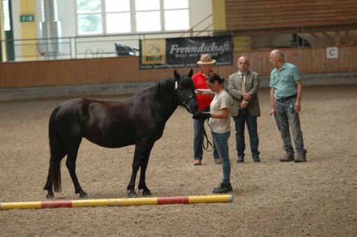 zuchtverband_03