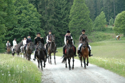 anlage_04