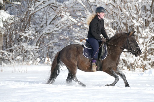 melanie-wieland_02