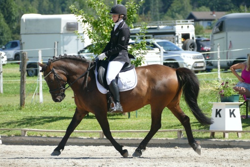 dressurtunier-altenmarkt-01