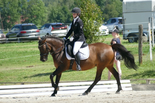 dressurtunier-altenmarkt-03