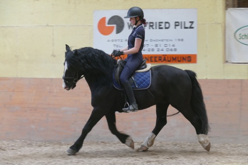 Muraközer Black Jak